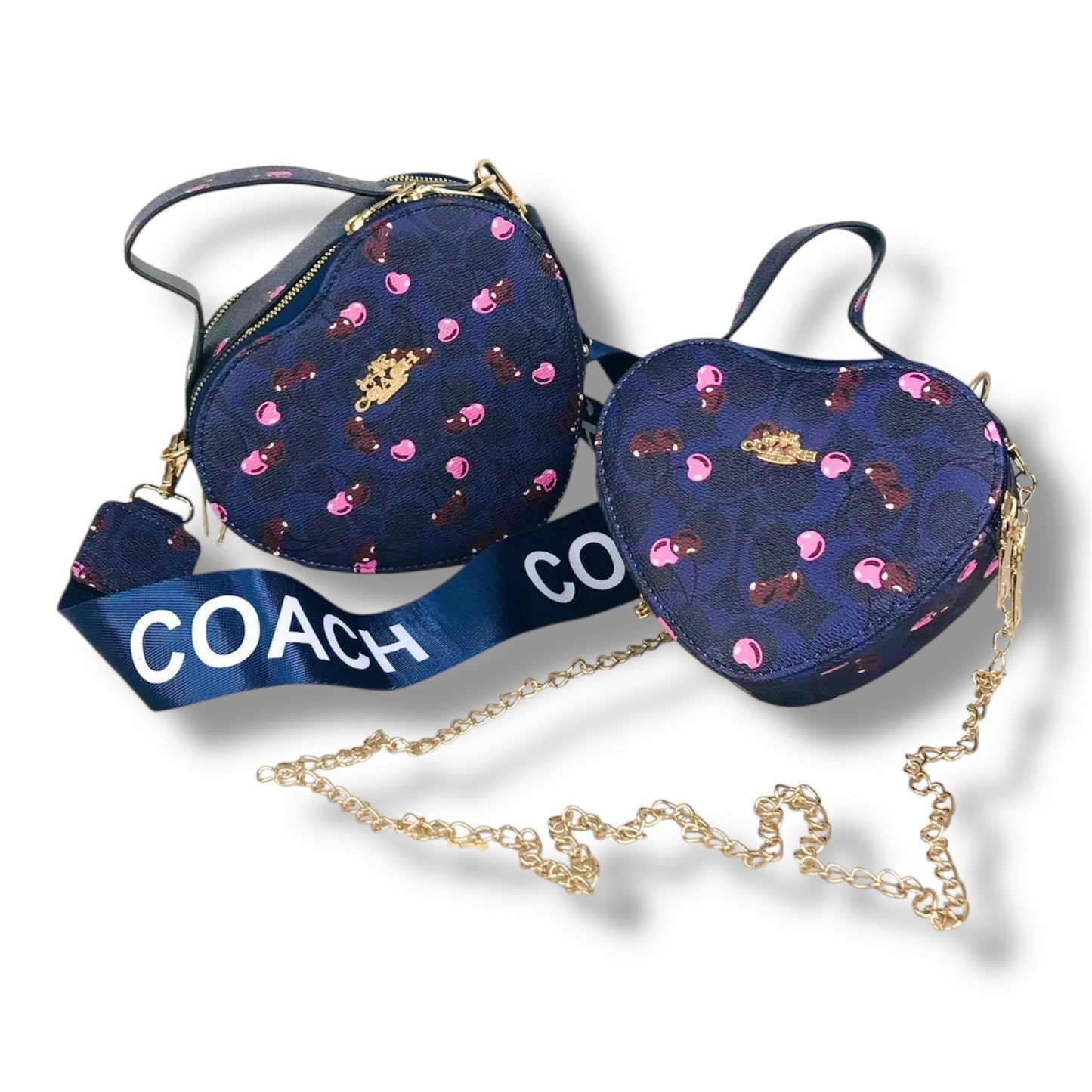 SET DE BOLSOS ESTILO COACH