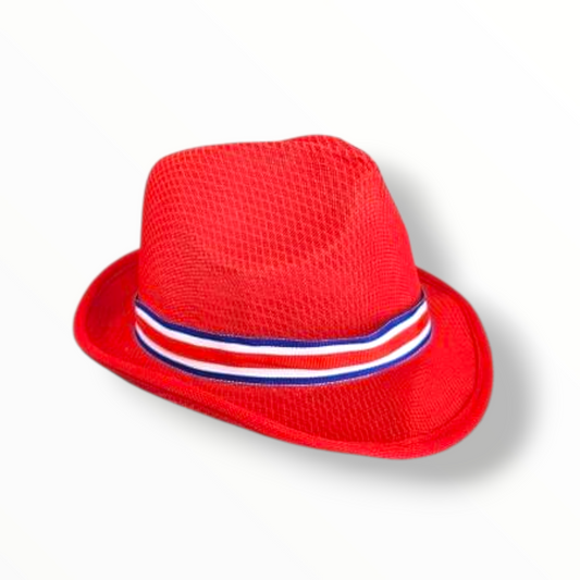 SOMBRERO TIPICOS PARA ADULTO - VARIOS COLORES - 1 UNIDAD