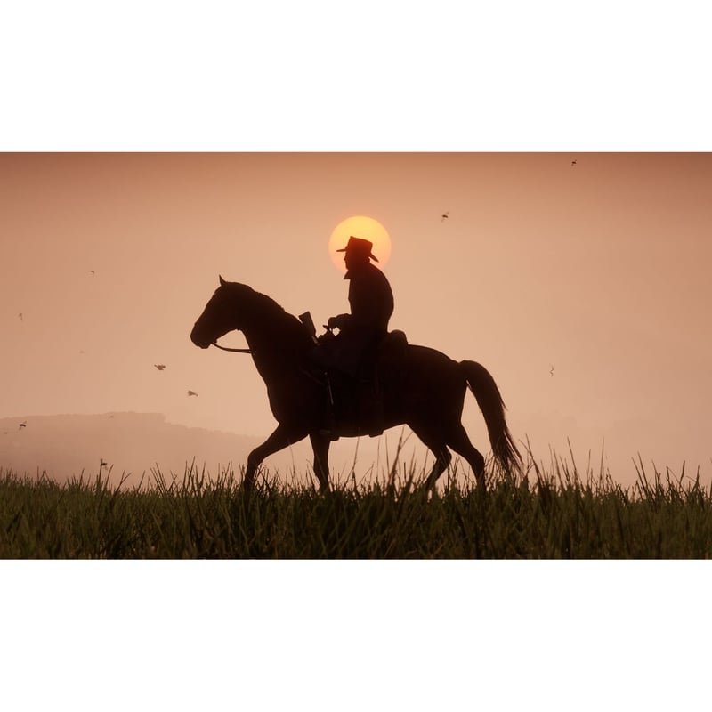 RED DEAD REDEMPTION 2 - PlayStation 4 - VRCELL Costa Rica