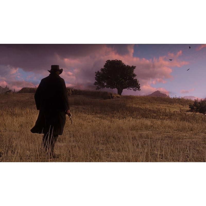 RED DEAD REDEMPTION 2 - PlayStation 4 - VRCELL Costa Rica
