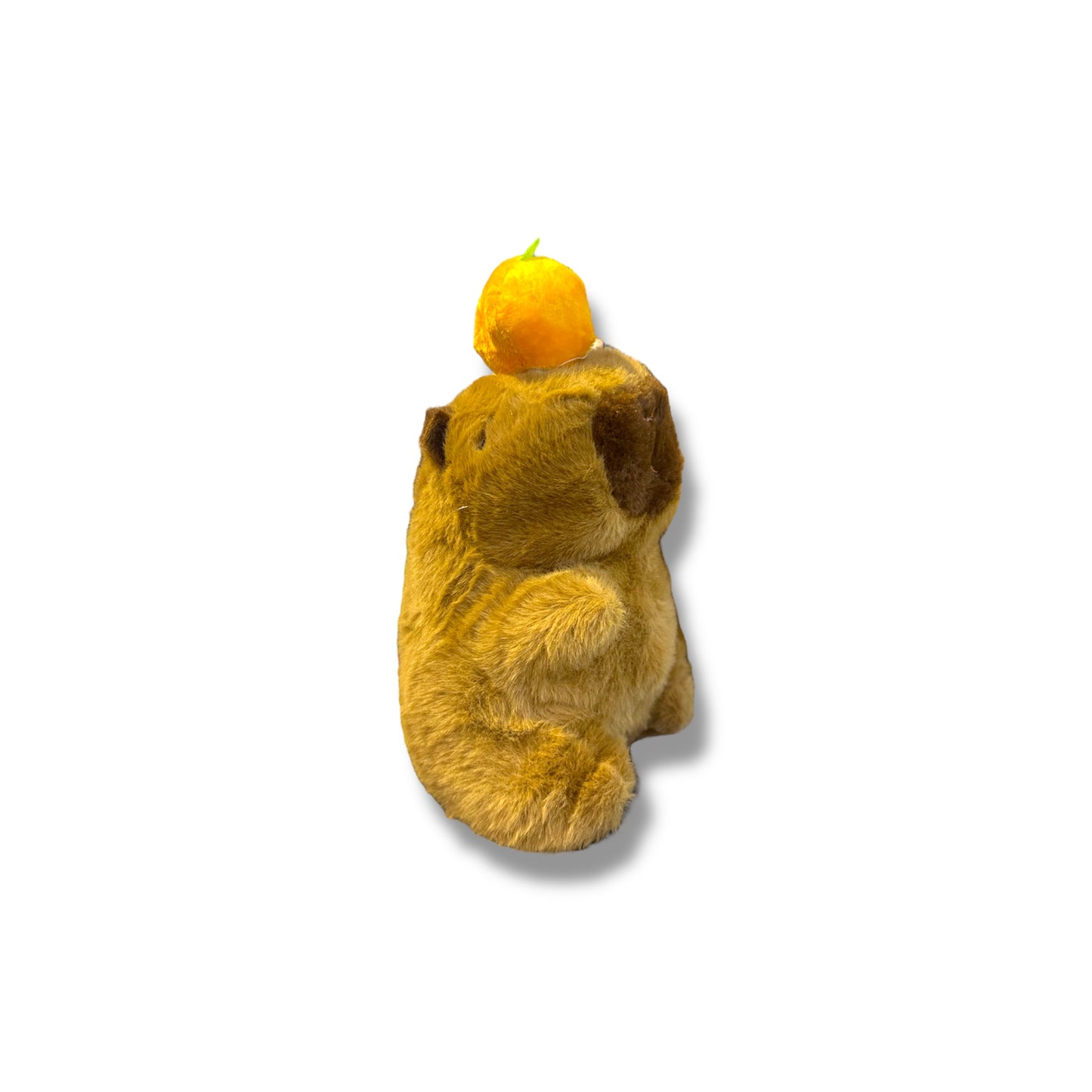 Peluche de Capibara de 20 CM con gorro de aguacate